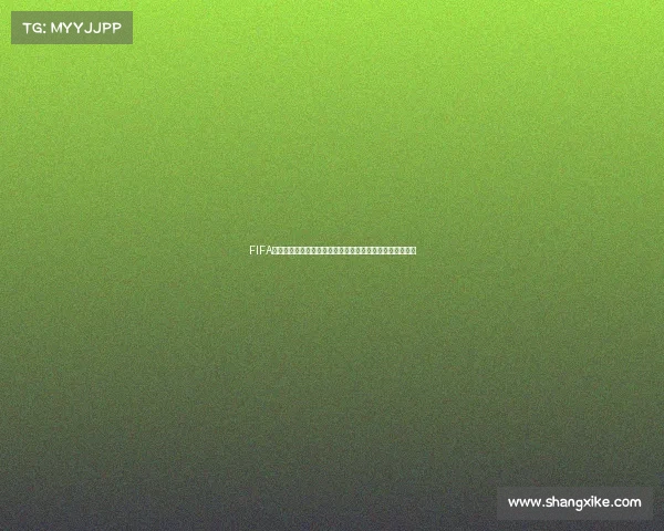 FIFA足球世界世界杯精彩视频集锦震撼回顾巅峰对决全纪录超燃