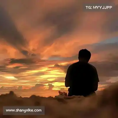羿沁美